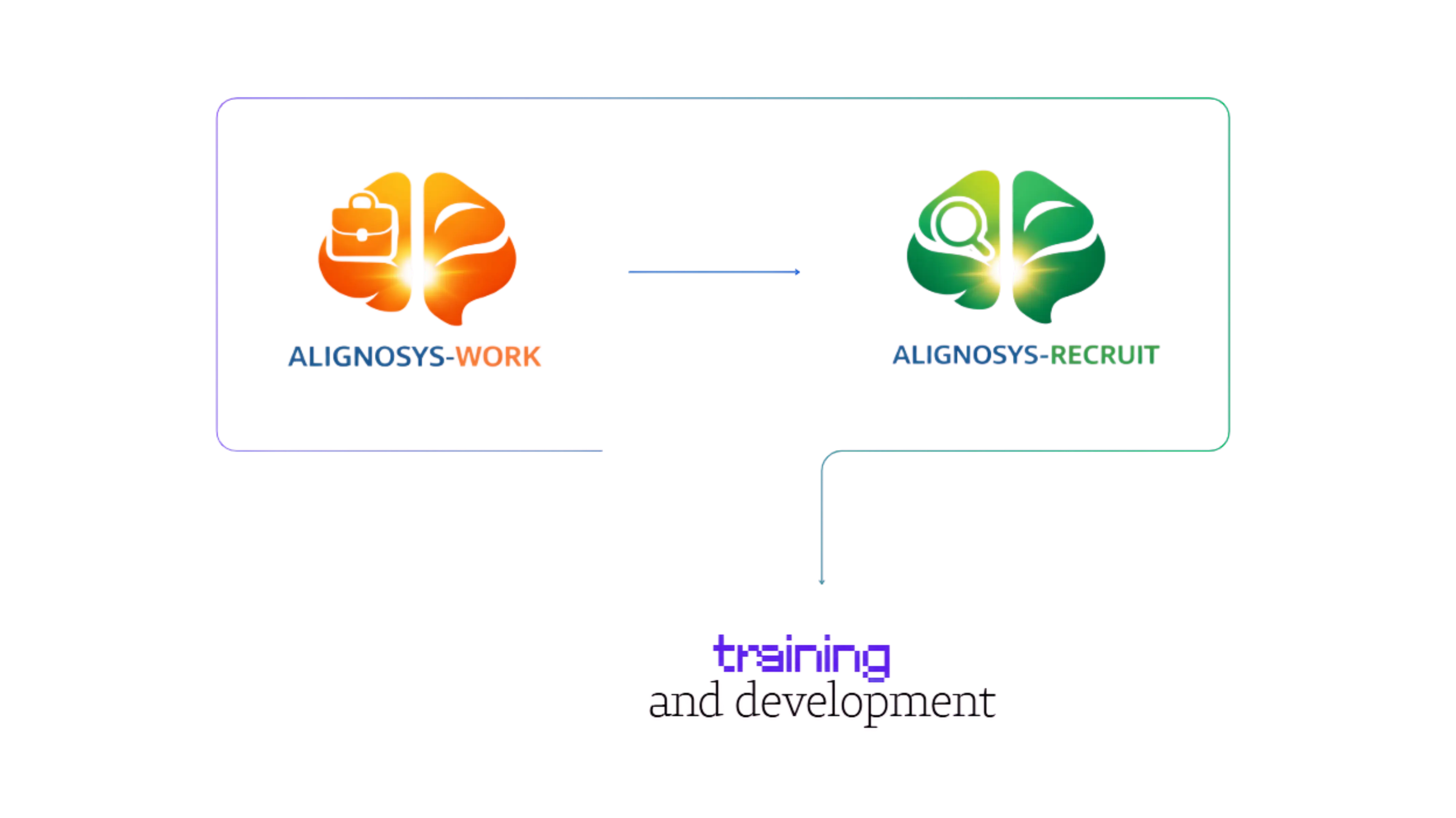 Alignosys Work, Recruit and training